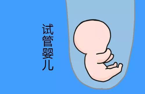 专家肖像
